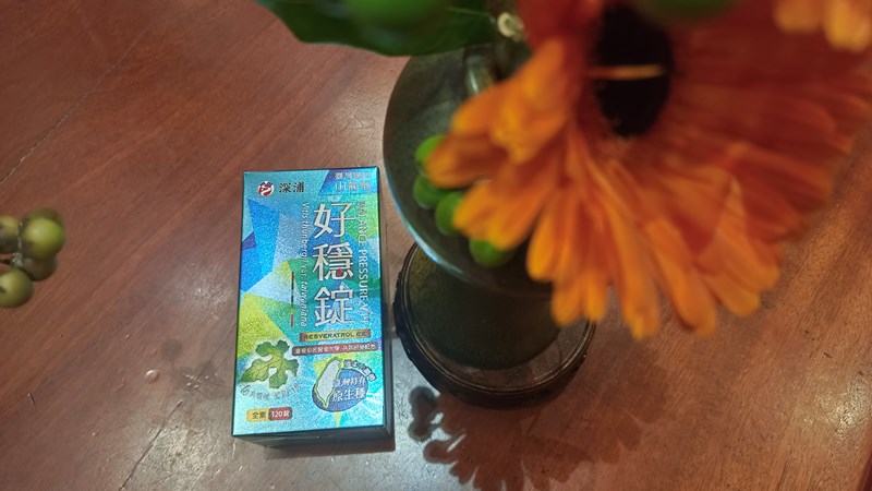 試用